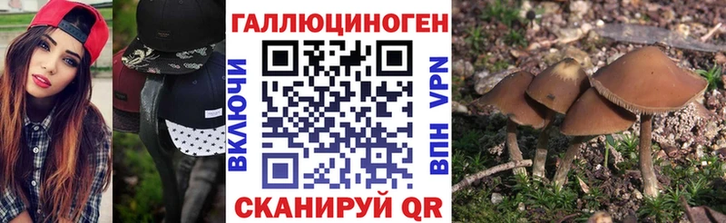 Галлюциногенные грибы мицелий  Кораблино 